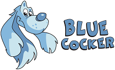 Jeux de Société - 10 + - Blue Cocker - 2 à 3